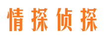 弥渡市侦探公司